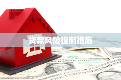 海端贷款风险控制措施