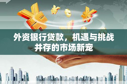 大名外资银行贷款，机遇与挑战并存的市场新宠