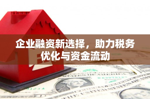 衡阳企业融资新选择，助力税务优化与资金流动
