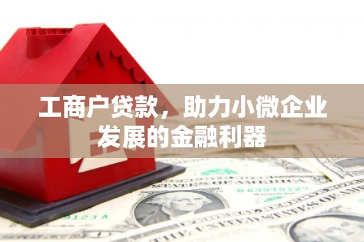 洪雅工商户贷款,助力小微企业发展的金融利器 洪雅工商户贷款,助力小微企业发展的金融利器