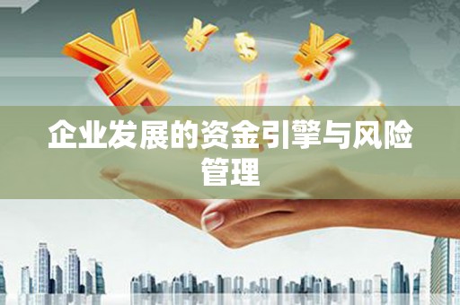 南化企业发展的资金引擎与风险管理