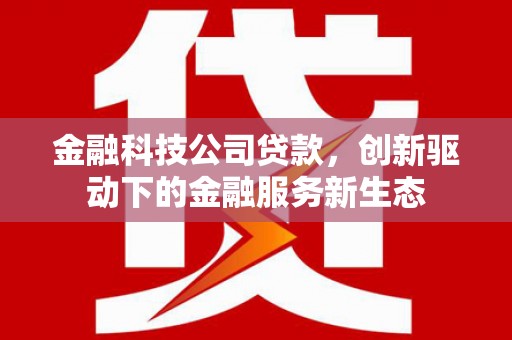 中正金融科技公司贷款，创新驱动下的金融服务新生态