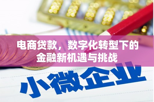 保税港区电商贷款，数字化转型下的金融新机遇与挑战
