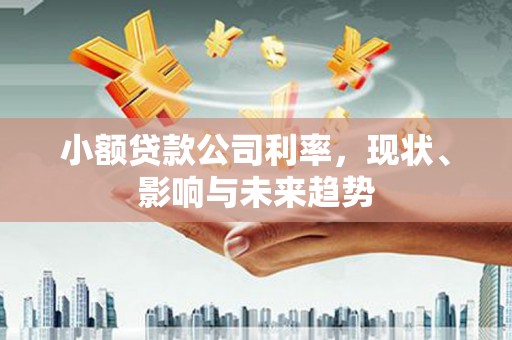 曹妃甸小额贷款公司利率，现状、影响与未来趋势