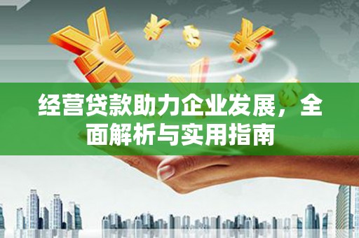 海盐经营贷款助力企业发展，全面解析与实用指南