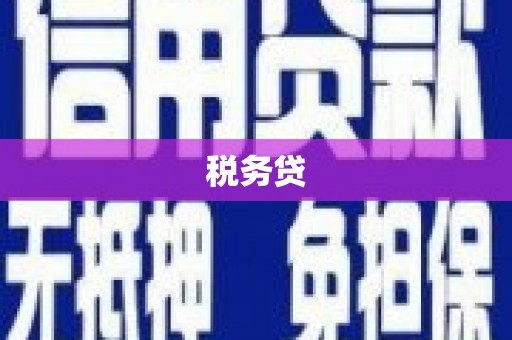 芜湖税务贷