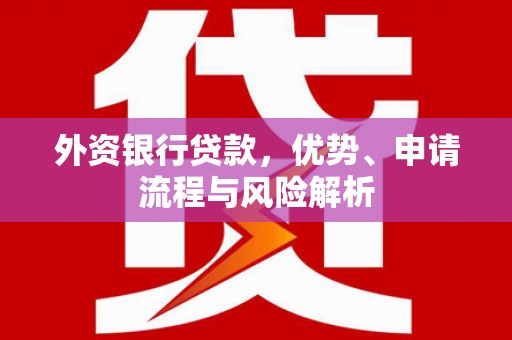 甲仙外资银行贷款，优势、申请流程与风险解析