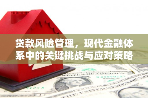 任丘贷款风险管理，现代金融体系中的关键挑战与应对策略