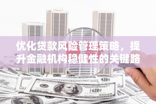 岳塘优化贷款风险管理策略，提升金融机构稳健性的关键路径