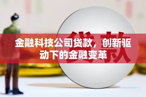 巧家金融科技公司贷款，创新驱动下的金融变革