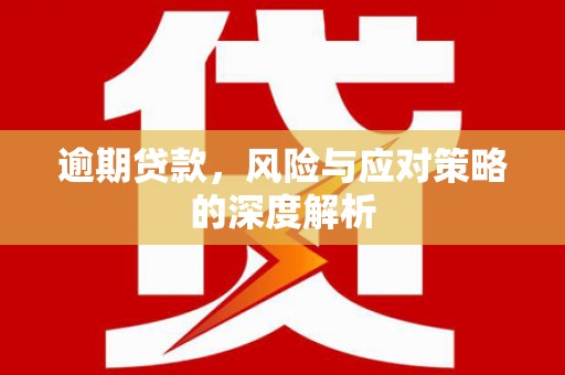 岱岳逾期贷款，风险与应对策略的深度解析