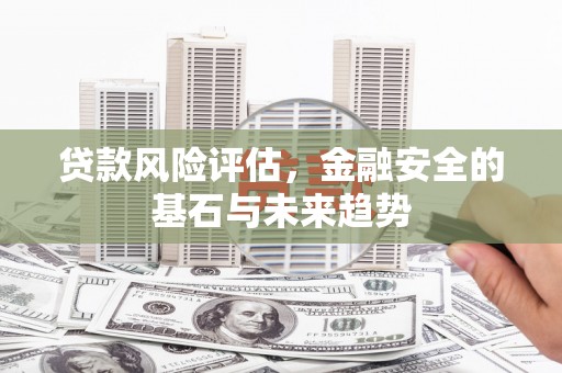 田家庵贷款风险评估，金融安全的基石与未来趋势