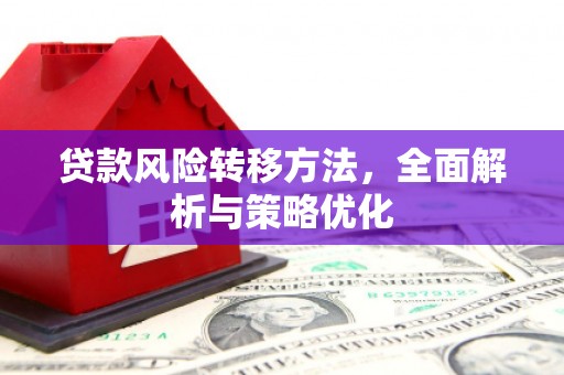 壮围贷款风险转移方法，全面解析与策略优化