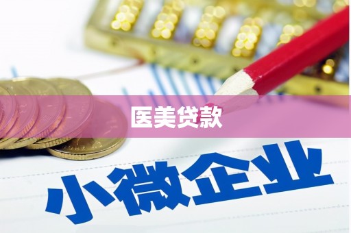 新河医美贷款