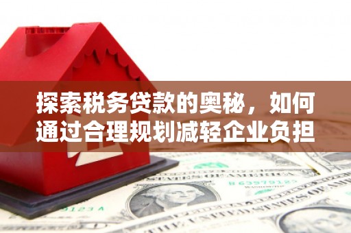 新华探索税务贷款的奥秘，如何通过合理规划减轻企业负担