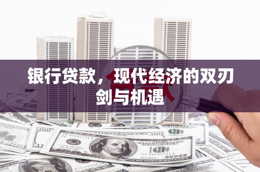 舟山新区银行贷款，现代经济的双刃剑与机遇