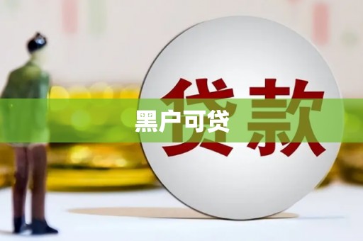 双清黑户可贷