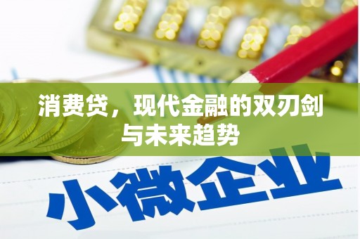 禅城消费贷，现代金融的双刃剑与未来趋势