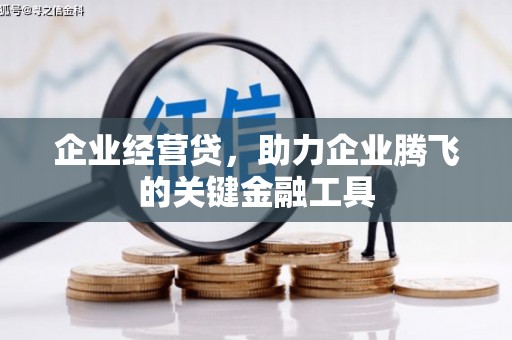 唐县企业经营贷，助力企业腾飞的关键金融工具