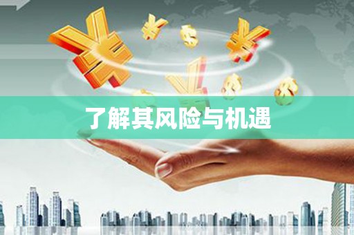 山东了解其风险与机遇