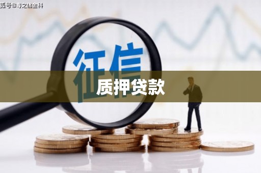 志丹质押贷款
