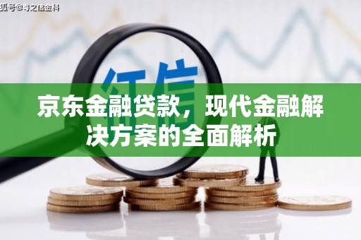 江东京东金融贷款，现代金融解决方案的全面解析