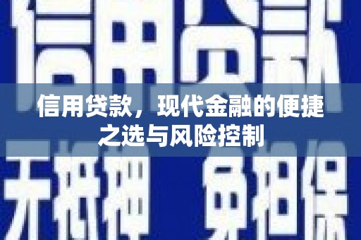 宁城信用贷款，现代金融的便捷之选与风险控制