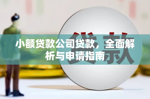 新市小额贷款公司贷款，全面解析与申请指南