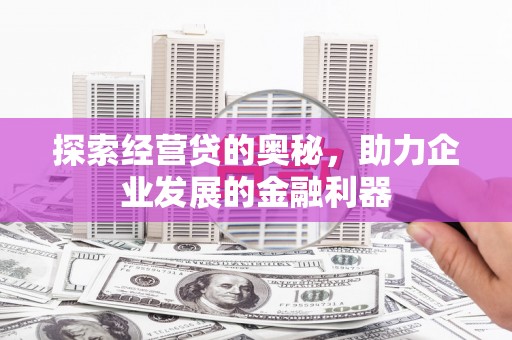 芦洲探索经营贷的奥秘，助力企业发展的金融利器