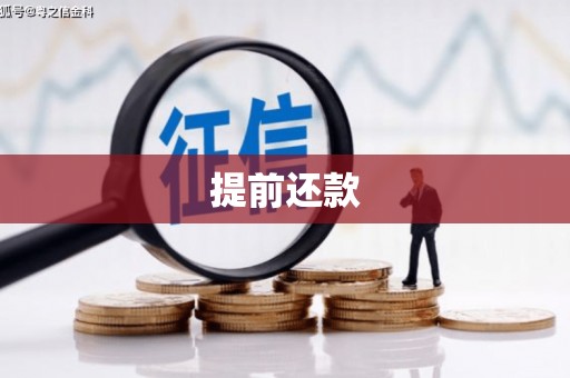 新都提前还款