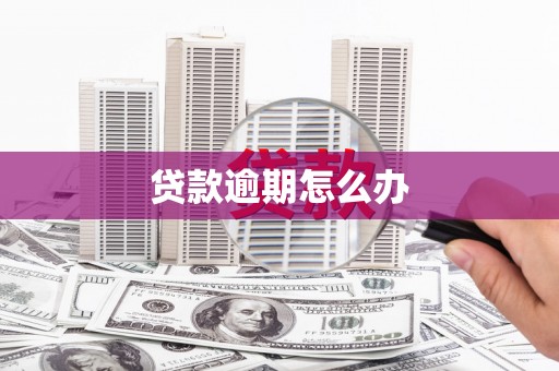 雾峰贷款逾期怎么办