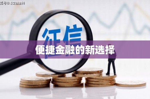 扶绥便捷金融的新选择