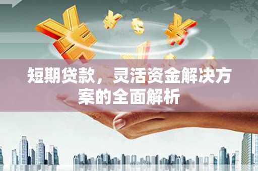 沂源短期贷款，灵活资金解决方案的全面解析