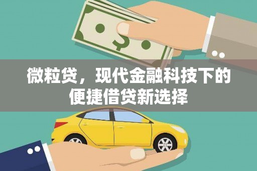 雁江微粒贷，现代金融科技下的便捷借贷新选择