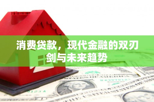 舞阳消费贷款，现代金融的双刃剑与未来趋势
