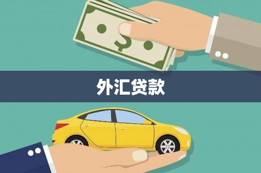 怀来外汇贷款