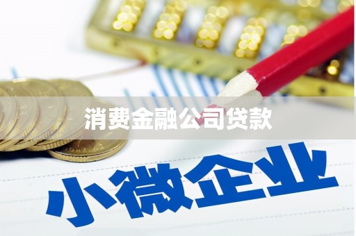 屏山消费金融公司贷款
