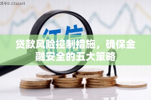 务川贷款风险控制措施，确保金融安全的五大策略