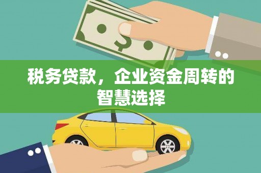 昭化税务贷款，企业资金周转的智慧选择
