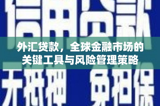 浔阳外汇贷款，全球金融市场的关键工具与风险管理策略