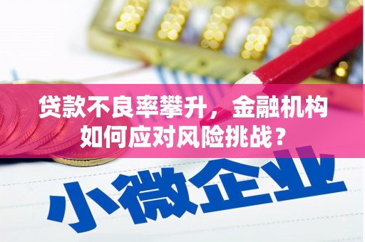 项城贷款不良率攀升，金融机构如何应对风险挑战？