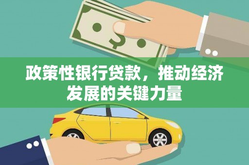 临海政策性银行贷款，推动经济发展的关键力量