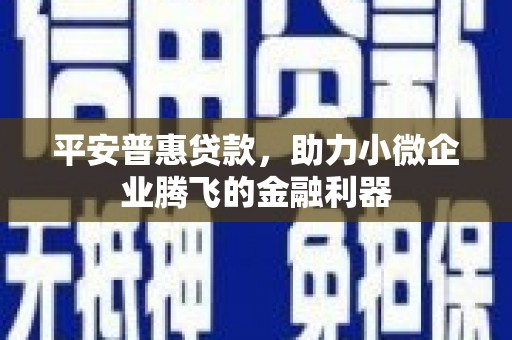 双塔平安普惠贷款，助力小微企业腾飞的金融利器