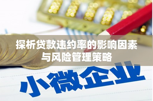 城厢探析贷款违约率的影响因素与风险管理策略