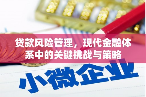 嘉陵贷款风险管理，现代金融体系中的关键挑战与策略