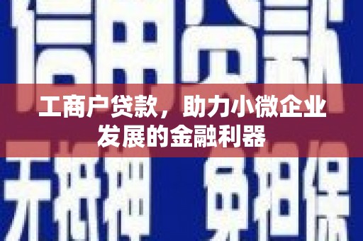 普湾新区工商户贷款，助力小微企业发展的金融利器