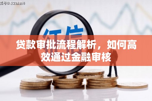 丰顺贷款审批流程解析，如何高效通过金融审核