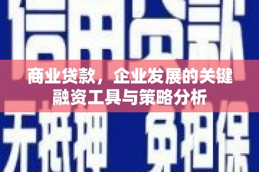 禄丰商业贷款，企业发展的关键融资工具与策略分析