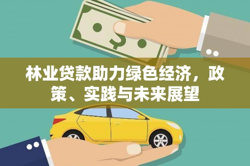 龙湾林业贷款助力绿色经济，政策、实践与未来展望