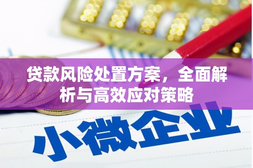 杨浦贷款风险处置方案，全面解析与高效应对策略